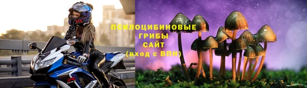 винт Богданович