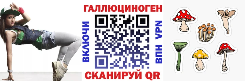 Галлюциногенные грибы GOLDEN TEACHER  Суджа 