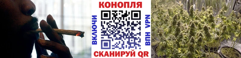 Каннабис индика  Суджа 